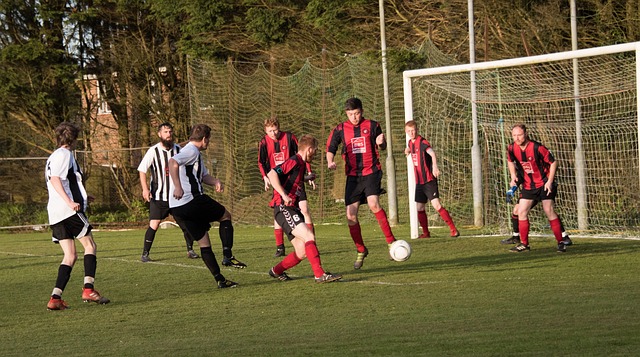 它吸引了无 它吸引了无