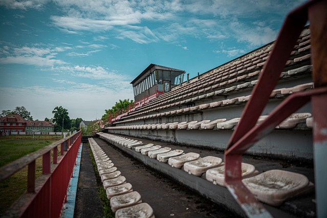 速度滑冰运 速度滑冰运